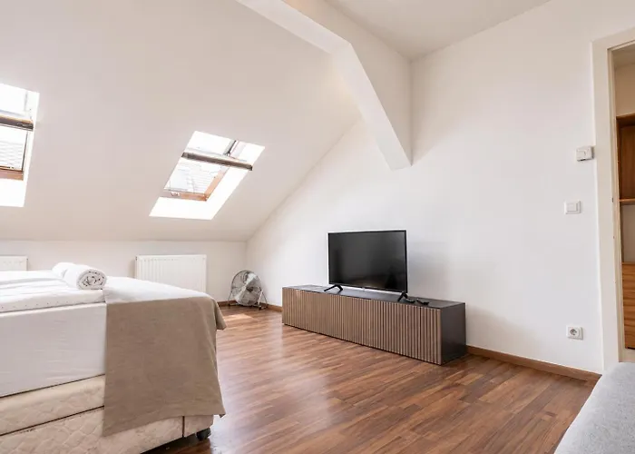 Spacious & Comfy Private In 3br Shared Apt, Very In * Viena
